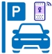 Parking IP Voice System